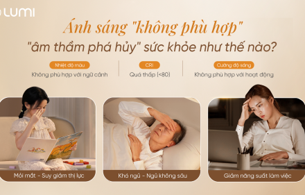 Ánh sáng “không phù hợp” âm thầm phá hủy sức khỏe con người như thế nào?