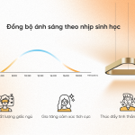 Bí mật về ánh sáng và cảm xúc tinh thần
