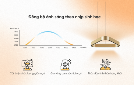 Bí mật về ánh sáng và cảm xúc tinh thần