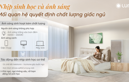 Nhịp sinh học và ánh sáng: Mối quan hệ quyết định giấc ngủ