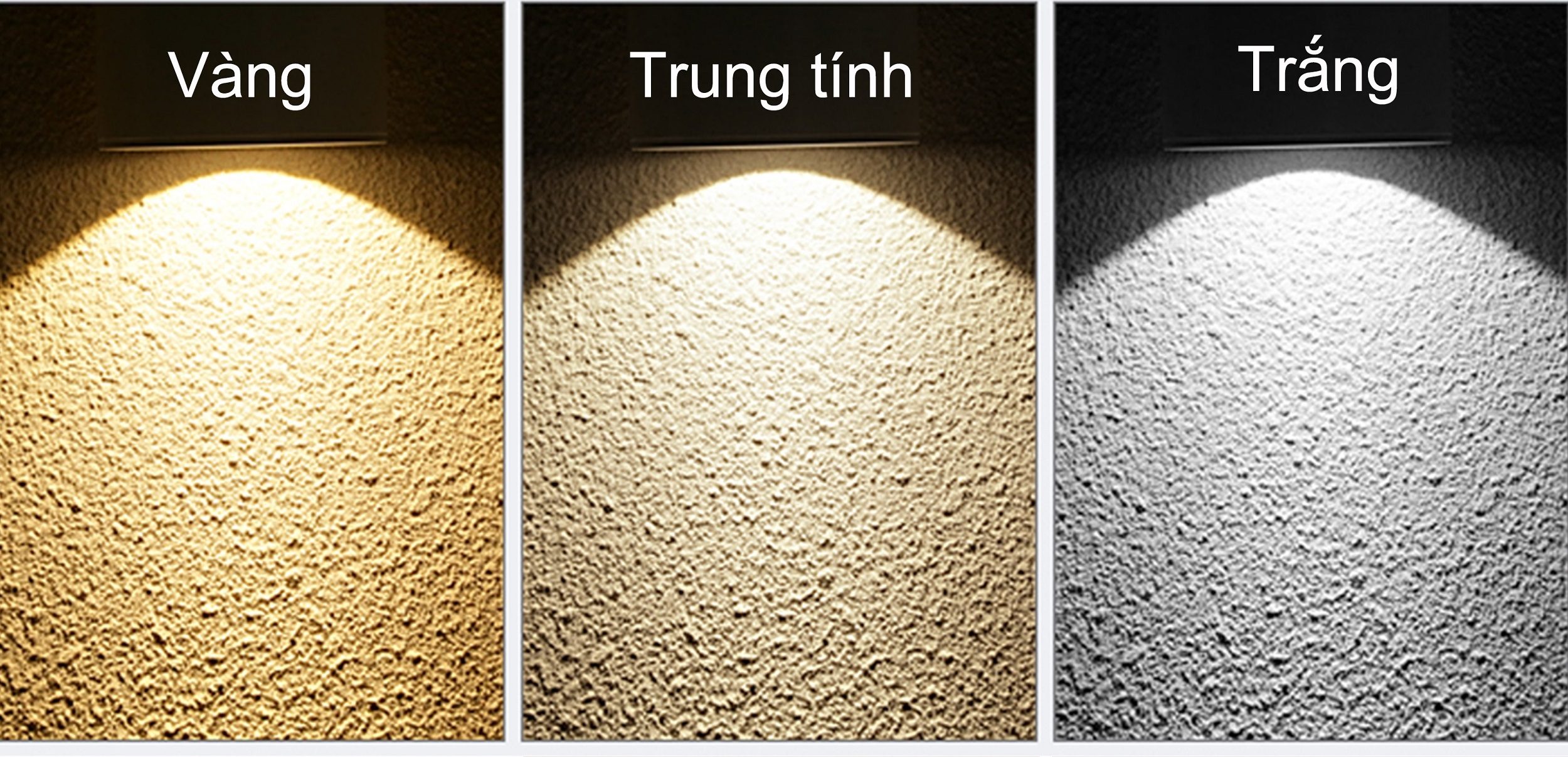 Ánh sáng trung tính là gì? Phân biệt với ánh sắng trắng và vàng