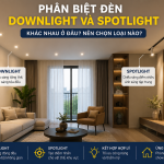 Phân biệt đèn Downlight và Spotlight: Khác nhau ở đâu? Nên chọn loại nào?